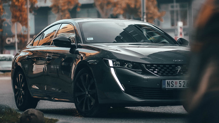PEUGEOT KEYCHAINS